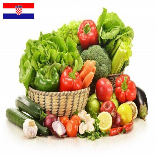 Овощи свежие из Хорватии