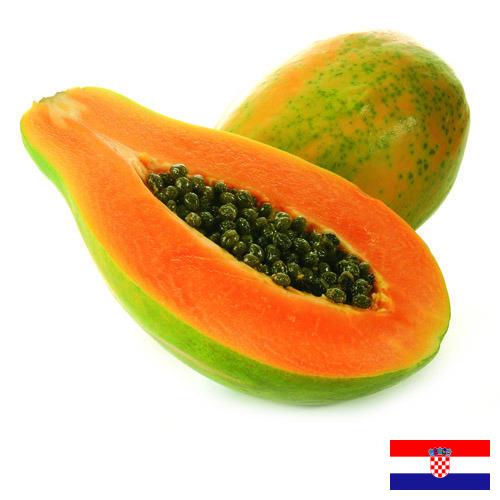 Папайя из Хорватии