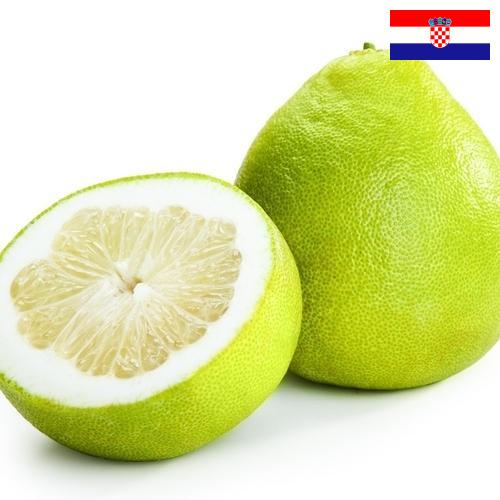 Помело из Хорватии