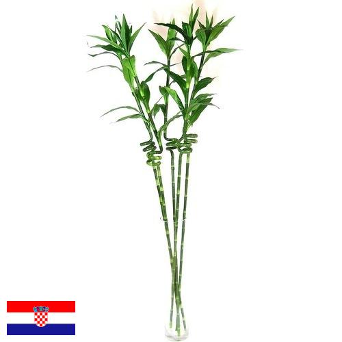 Растения искусственные из Хорватии