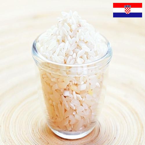рис шлифованный из Хорватии