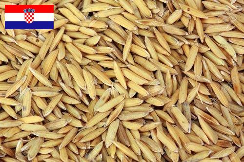 рис сырец из Хорватии