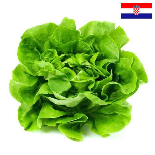 салат из Хорватии