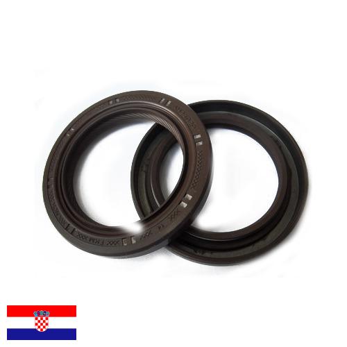 Сальник коленвала из Хорватии