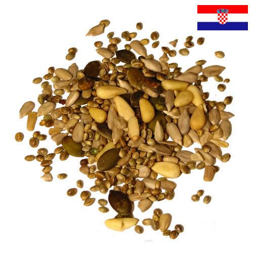 Семечки из Хорватии