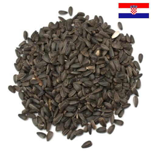 Семена цветов из Хорватии