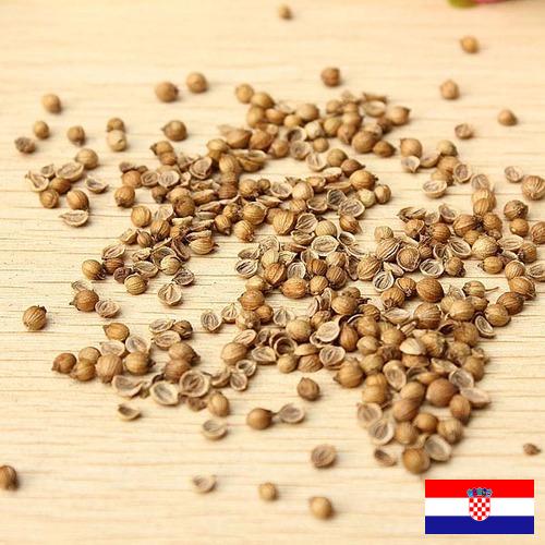 Семена овощей из Хорватии