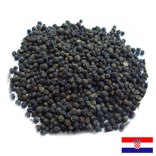 Семена перца из Хорватии