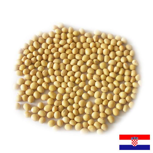 Семена сои из Хорватии