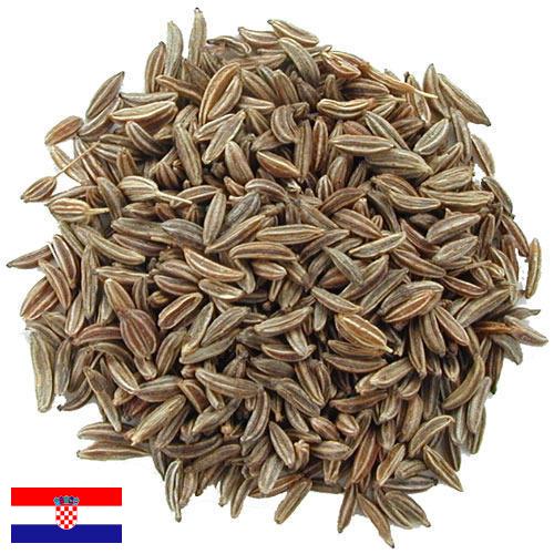 Семена тмина из Хорватии