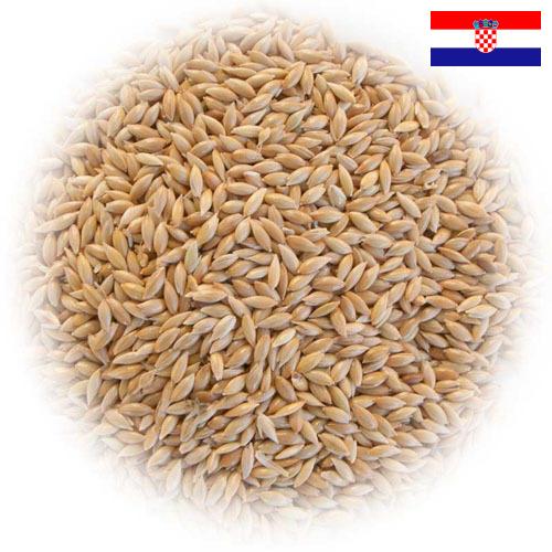 семена трав из Хорватии