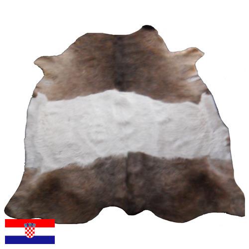 Шкуры крупного рогатого скота из Хорватии