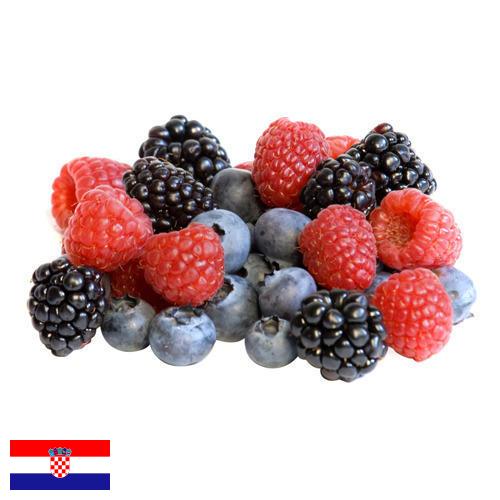 сублимированные ягоды из Хорватии