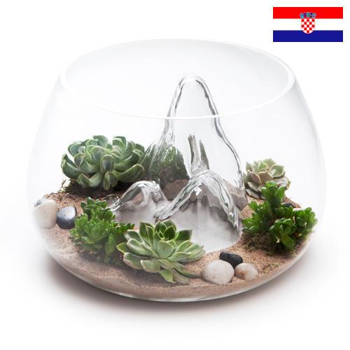 Террариумы из Хорватии