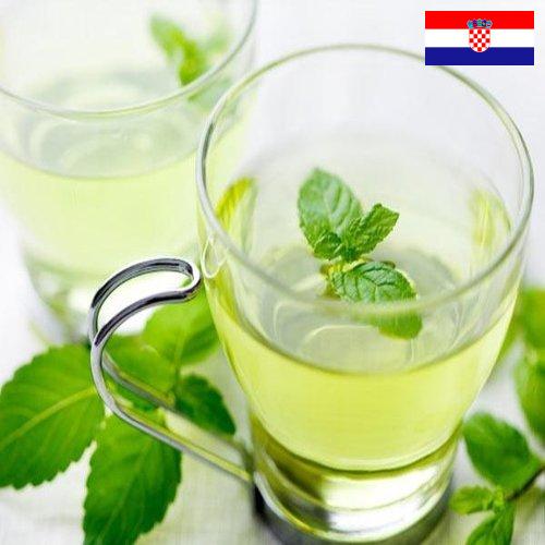 Травяной чай из Хорватии