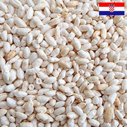 Воздушный рис из Хорватии