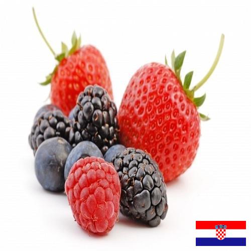 Ягоды из Хорватии