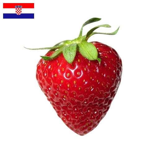 Земляника из Хорватии