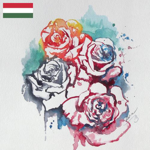 акварель из Венгрии