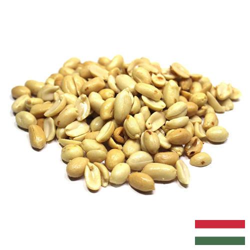 арахис бланшированный из Венгрии