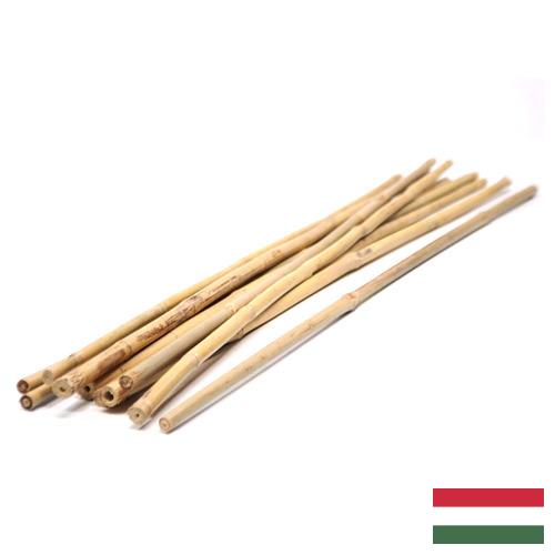 бамбуковые палочки из Венгрии