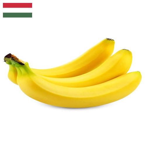 Бананы из Венгрии