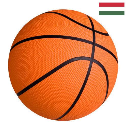 Баскетбол из Венгрии