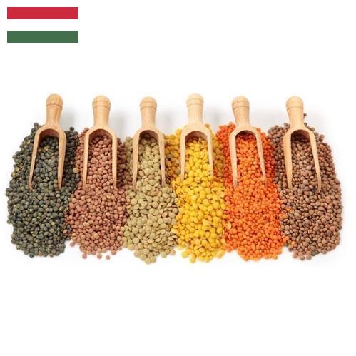 Бобовые культуры из Венгрии