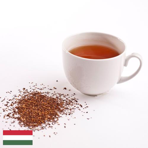 чай ройбуш из Венгрии