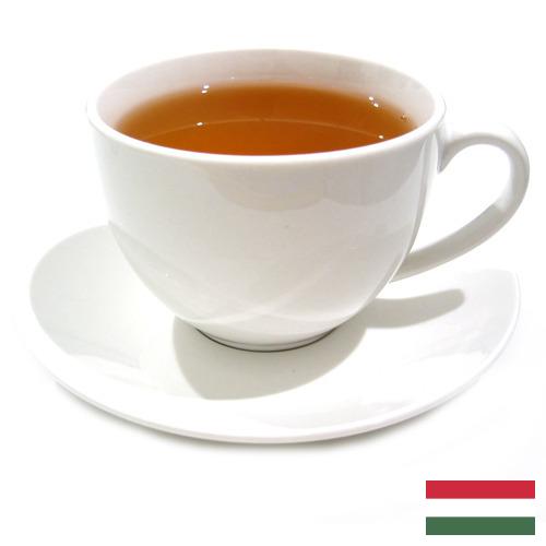 Чай из Венгрии