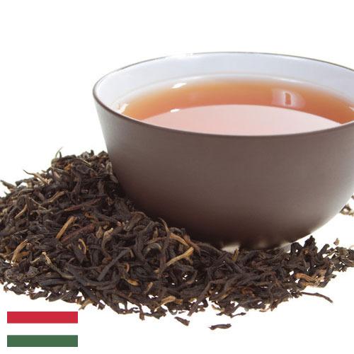 Черный чай из Венгрии