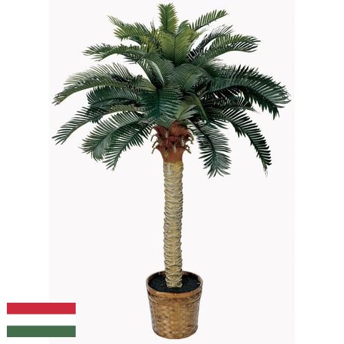 Деревья искусственные из Венгрии