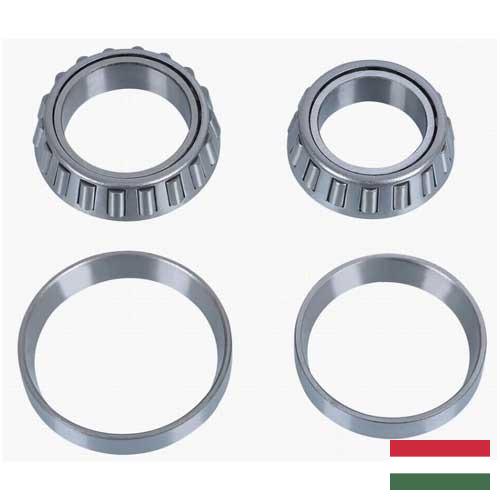 Детали подшипников из Венгрии