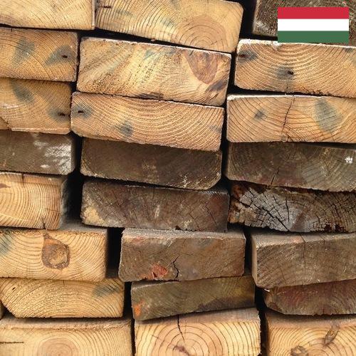Древесина из Венгрии
