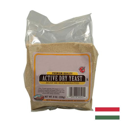 дрожжи сухие из Венгрии