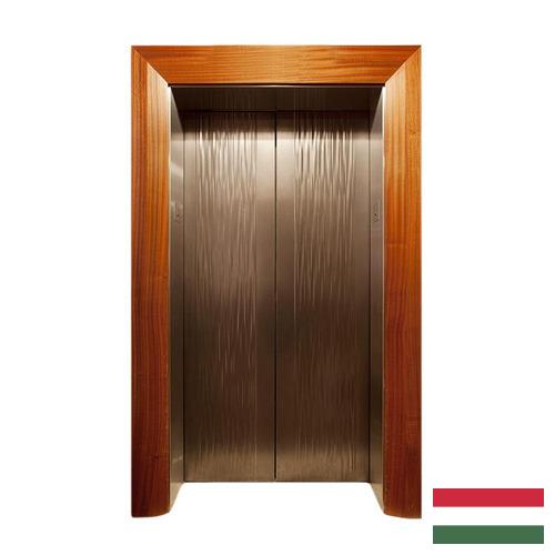 двери лифта из Венгрии