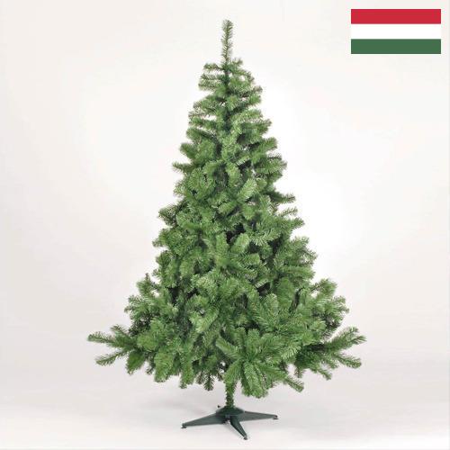 Елки искусственные новогодние из Венгрии