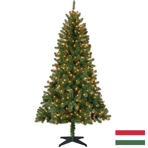 елки из Венгрии