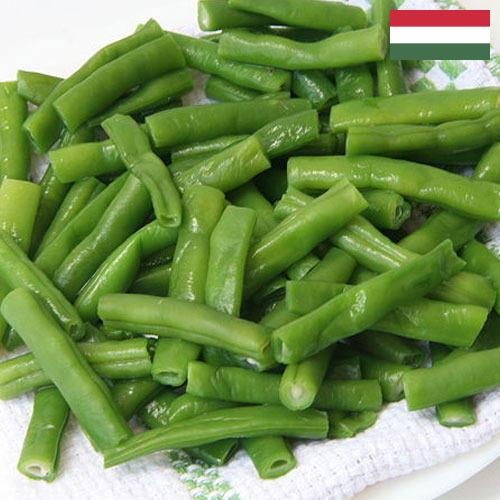фасоль стручковая из Венгрии