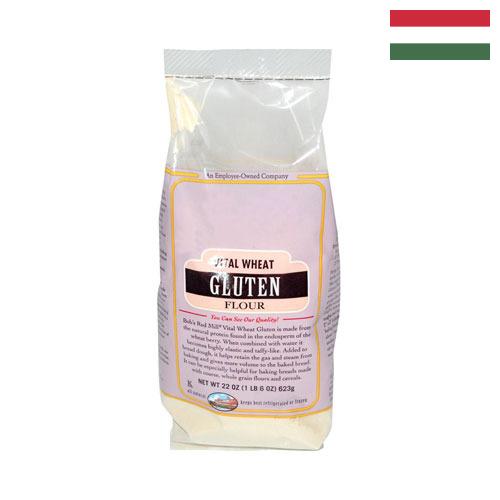 глютен пшеничный из Венгрии