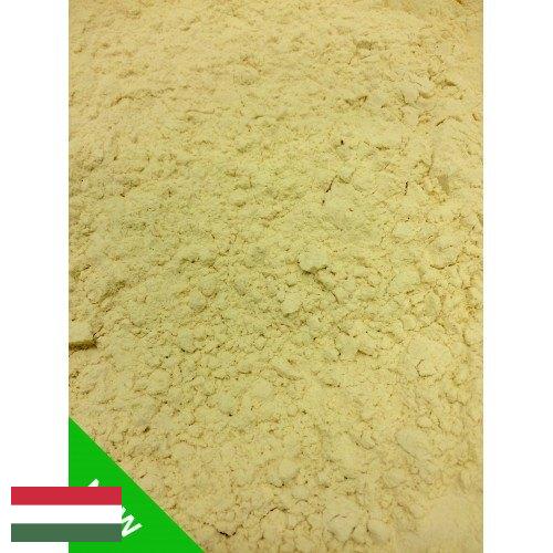 гороховый белок из Венгрии