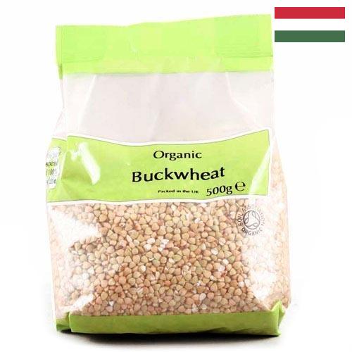 Гречневая крупа из Венгрии