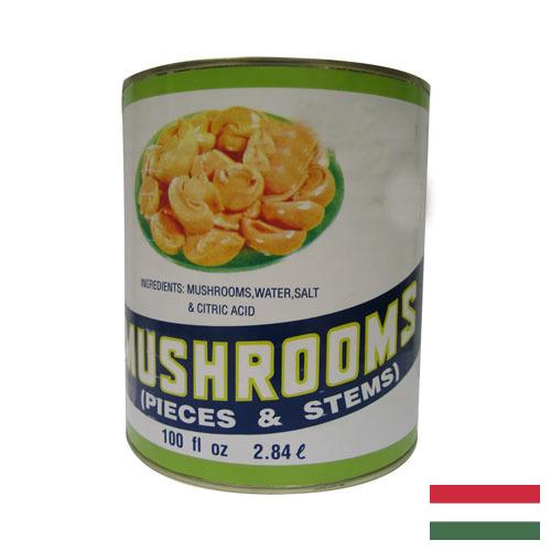 Грибы консервированные из Венгрии