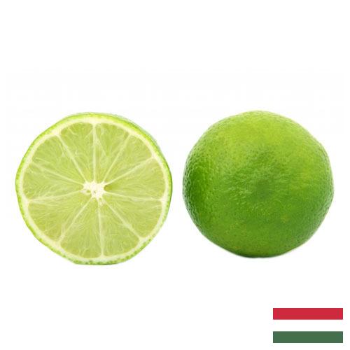 Известь из Венгрии