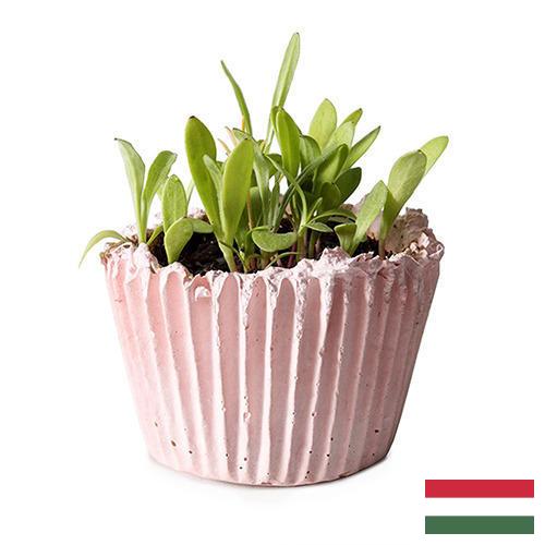 Кашпо из Венгрии