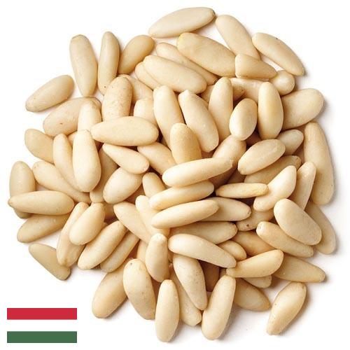 Кедровые орехи из Венгрии