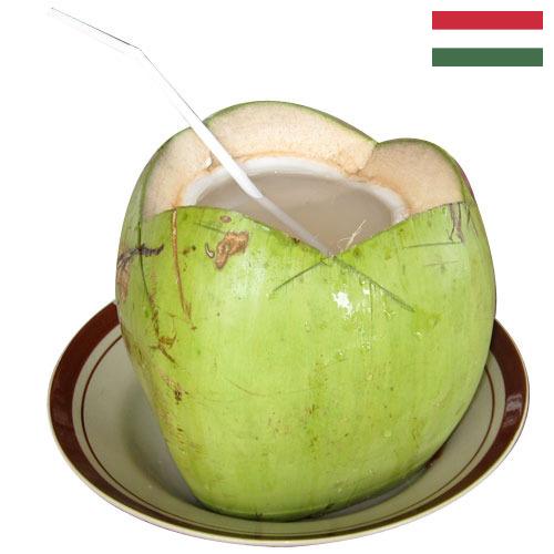 кокосовая вода из Венгрии