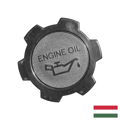 Колпачок маслосъемный из Венгрии