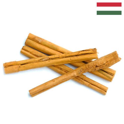 Корица из Венгрии