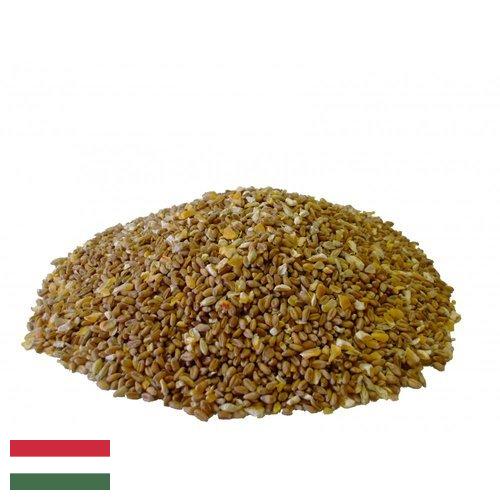 Корма для птицеводства из Венгрии